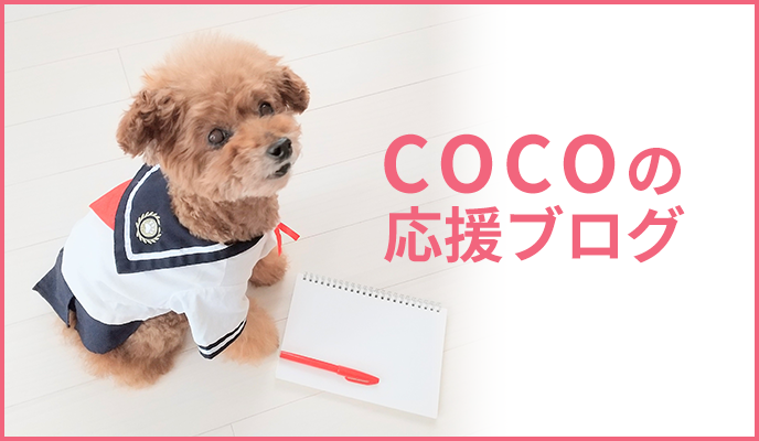 COCOの応援ブログ